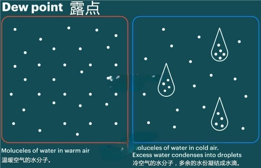 什么是露点